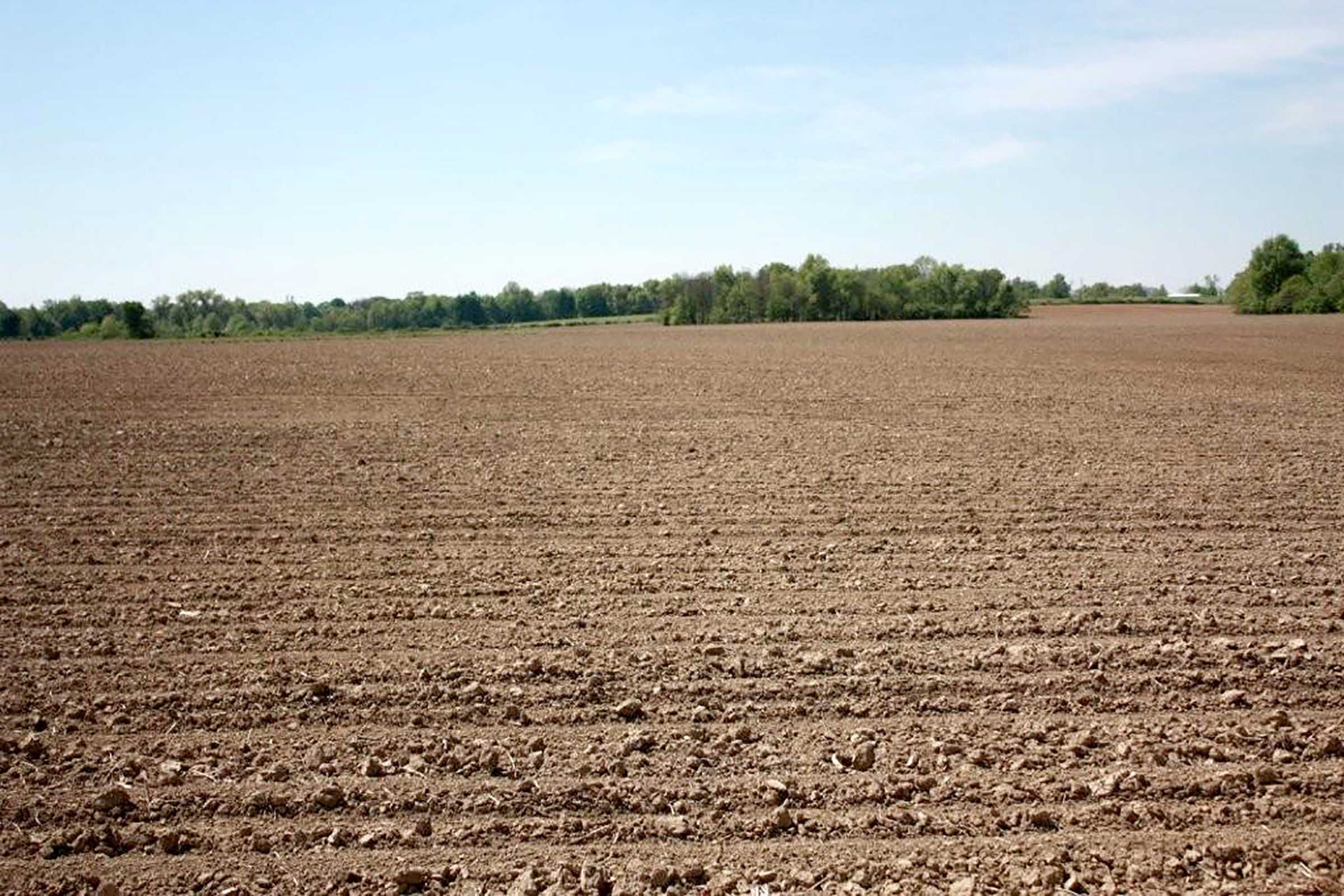 Property photo 5 - REAL ESTATE AUCTION - 126+/- ACRES OFFERED IN 4 TRACTS IN GREENE COUNTY, INDIANA